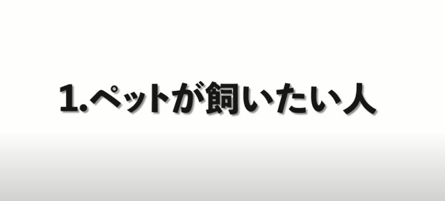 ペットが飼いたい人はボーダーコリーはやめたほうがいい
