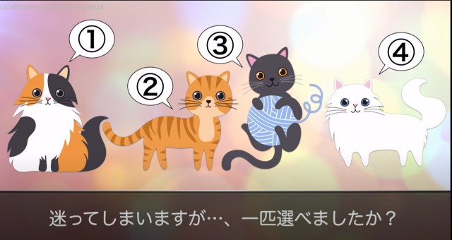4種類の猫の画像